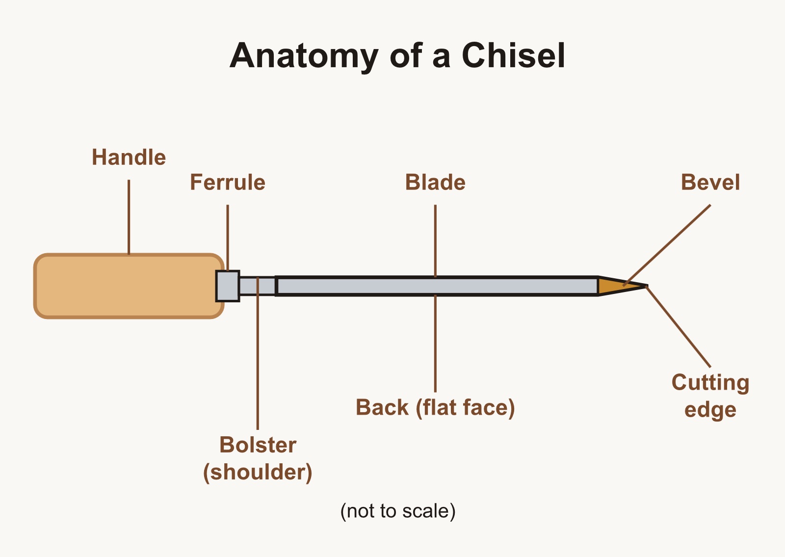 A labeled side view of a chisel showing handle, ferrule, bolster, blade, bevel, back, and cutting edge.